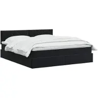 vidaXL - Opbergbed - met - hoofdeinde - Zwart - 160 - x - 200 - cm - Fluweel