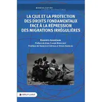 Bruylant La cjue et la protection des droits fondamentaux face a la