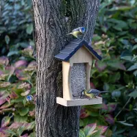 Vogelspotcast Wandvoederhuis Texel |