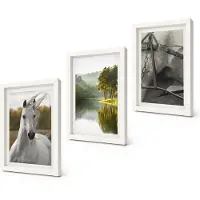Coloray 3-Delige Schilderij Set - Witte paarden aan de rivier - Natuurlandschap - 20x30 - Wanddecoratie - Schilderijen Set - Kantoor - Moderne Wanddecoratie