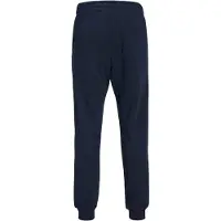 Jack & Jones Sportbroeken gordon Josh Sweat Pant Blauw