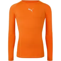 Puma Heren Liga Langsleeve T-Shirt (Oranje)
