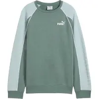 Puma Kinderen Sportstijl Relaxed Fit Raglan Lange Mouwen Sweatshirt (Groen/Maan)