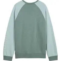 Puma Kinderen Sportstijl Relaxed Fit Raglan Lange Mouwen Sweatshirt (Groen/Maan)