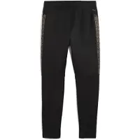 Puma Trainingsbroek Heren (Zwart/Goud)