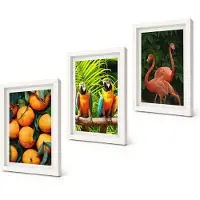 Coloray 3-Delige Schilderij Set - Fruitige accenten met papegaaien en flamingo's in de tropen - 20x30 - Stijlvolle Wanddecoratie - Interieur