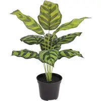 Maxifleur Kunstplanten Calathea Maranta kunstplant 40cm in kweekpot
