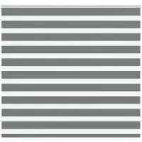 vidaXL Zebra rolgordijn 160x150 cm stofbreedte 155,9 cm donkergrijs