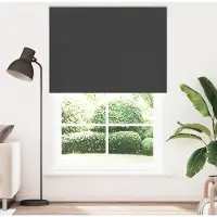 vidaXL Rolgordijn verduisterend 165x230 cm stofbreedte 161,6 cm zwart