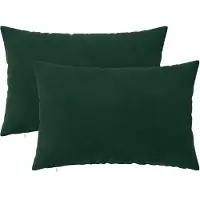 vidaXL Kussensloop 2 pcs HEERLEN Donkergroen 50 x 70 cm Fluweel