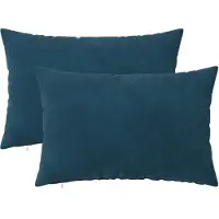 vidaXL Kussensloop 2 st HEERLEN Blauw 50 x 75 cm fluweel