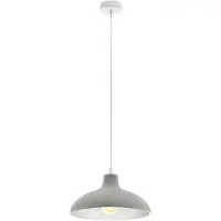 Eglo Barrowby hangende plafondverlichting Flexibele montage Grijs E27 A,A+,A++,B,C,D,E