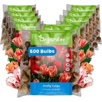 Organifer Tulpenbollen - 500 Bloembollen - Firefly - Spryng Tide & Break Kleurenmix -