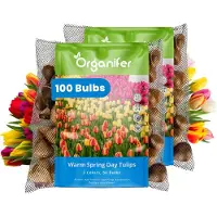 Organifer Tulpenbollen - 100 Bloembollen - Warm Spring Day - Apeldoorn Mix Geel Oranje Rood -