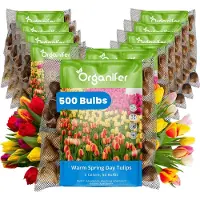 Organifer Tulpenbollen - 500 Bloembollen - Warm Spring Day - Apeldoorn Mix Geel Oranje Rood -