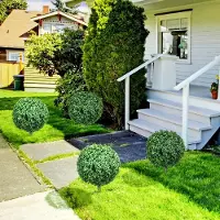 OKWISH Kunstplant Buxus 70 Cm 2 Delige Set Met Uv Bescherming En Bodempennen Groen Voor Binnen En Buiten Decoratie