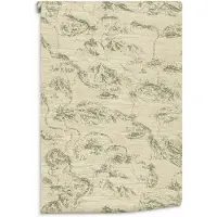 York Ronald Redding Designs DV3761 Vliesbehang – Beige/Groen Chinoiserie – 68,58 x 822 cm