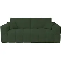 Vente-unique Vierzitsslaapbank express in groene teddystof - Slaapoppervlak 160 cm - Matras 20 cm ISSORO