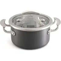 Galicja Gipfel Aspekt Pan met Deksel 20cm 3.4L - Aluminium & RVS