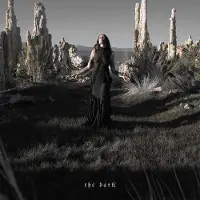 Universal Music Chelsea Wolfe - The Dark (CD)