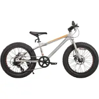 Happiq Kinder Mountainbike 66 cm – Voor Kinderen vanaf 5 Jaar – 7 Versnellingen – Dubbele Schijfremmen – Fat Tire Kinderfiets – Zilver