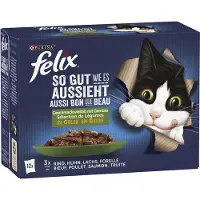 Felix PURINA Zo lekker als het eruitziet met groenten (1 x 12 x 85g)