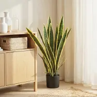 OKWISH Kunstplant In Pot Sansevieria 77 Cm Groen Polyethyleen Voor Binnen Woonkamer Slaapkamer Bureau Natuurlijke Uitstraling