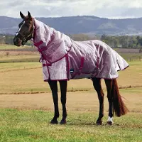 WeatherBeeta Comfitec Ripshield Vliegendeken met Afneembare Hals WIT/BORDEAUX 6'5/145cm