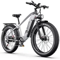 DUOTTS Elektrische Fiets - 864Wh/18 Ah Accu - 100 km Bereik - 250W Motor - 26x4 Inch Banden - Shimano 7 Versnellingen - Aluminium Frame - Inclusief Bagagedrager - Elektrische Mountainbike - zilver