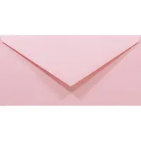 Netuno Gladde roze enveloppen A4 - 110 x 220 mm - 50 stuks - NK natgelijmde - 80 gram - Rainbow -