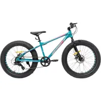 Happiq Kinder mountainbike 51 cm Fat Tire – Voor kinderen vanaf 5 jaar en strand- en terrein gebruik – Met 7 versnellingen en dubbele schijfremmen – Groen frame