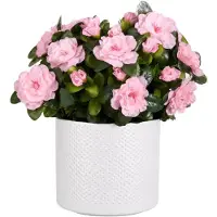 Mica Decorations Kunstplant - Azalea roze - H31 cm - in witte bloempot - keramiek - complete set van pot en plant - decoratie stuk