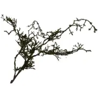 Silk-ka Kunstbloem-Zijden Bloem Mostak Groen 88 cm