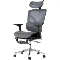 Happiq Ergonomische bureaustoel met hoge rug - 3D verstelbare armleuningen, lendensteun, voetensteun - Mesh Grijs