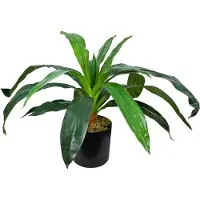 Decovego Kunstmatige Drakenboom, Kunstplant, 45 cm, Tropische Decoratie voor Thuis & Kantoor, Allergievriendelijk & Gemakkelijk te Verzorgen