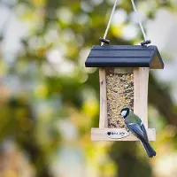 Cj Wildlife Voederhuis Cleveland |