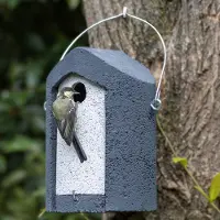 Cj Wildlife Nestkast Zaragoza Woodstone 32mm - grijs | |