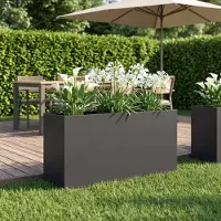 vidaXL Plantenbak Zwart 100 x 30 x 40 cm Koudgewalst staal
