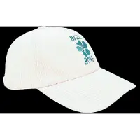 Billabong Dad Cord Pet
