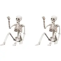 Typecat 2X Halloween Skeletversieringen, Beweegbaar Plastic Skelet, Volledig Lichaamsskelet met Beweegbare Gewrichten