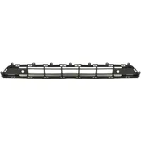 BLIC 6502-07-9056910P Ventilatiegrille, bumper