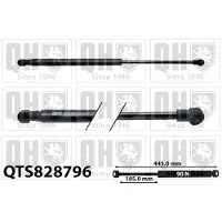 Quinton Hazell QTS828796 Gasveer achterklep