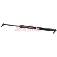 ASHIKA ZSA90029 Gasveer achterklep