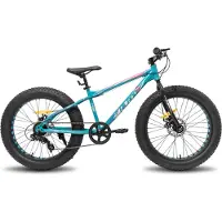 Happiq Kinder Mountainbike 61 cm – Voor Kinderen vanaf 5 Jaar – 7 Versnellingen – Dubbele Schijfremmen – Fat Tire Kinderfiets – Groen