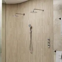Saniclear Uni dubbele douche RVS look PVD met wandarm en 3 standen handdouche