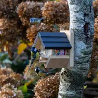 Vogelspotcast Pindakaaspothouder Wieden |