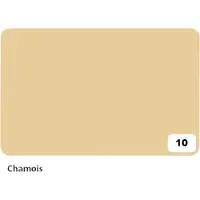 Folia Paper Fotokarton Folia 2-zijdig 50x70cm 300gr nr10 chamois | 10 stuks