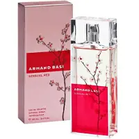 Armand Basi Parfum