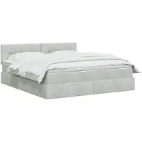 vidaXL Opbergbed met hoofdeinde Lichtgrijs 180 x 200 cm Fluweel