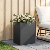 vidaXL Plantenbak Zwart 40 x 30 x 50 cm Koudgewalst staal